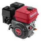 Motor À Gasolina B4t 7.0HP Partida Manual Com Alerta De Óleo Branco