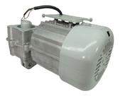 Motor Basculante Super 1/3 2000 Peccinin Avulso