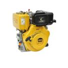 Motor BFDE 10,0 CV Partida Elétrica 71007 Buffalo Motor BFDE 10,0 CV Partida Elétrica 71007 Buffalo