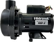 Motor Bomba Banheira Hidro Spa Solar Mbf2 1/2cv Weg Hidrasul