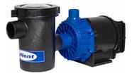 Motor bomba Piscina E Solar 1/3 cv Com Pré Filtro Syllent 220v