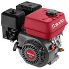 Motor Branco 6.5hp p. manual