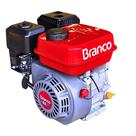 Motor Branco Combustão Monocilíndrico 6,5hp Sem alerta De Óleo
