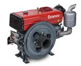 Motor Diesel 22CV 1195cc P.Elét Termossifão BDA22.0TE Branco