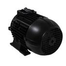 Motor Elétrico 4,0 cv 2 polos Trifásico 220/380V para J7600