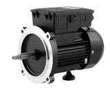 Motor eletrico eurobombas eb-r750 1 cv 2 polos monofasico 110/220 v 60 hz (alta rotacao)