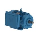 Motor Elétrico IP55 Alta Rotação 12,5CV 2 Polos Monofásico 220V - Weg