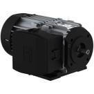 Motor eletrico weg w12 0,33cv 4p w63 b34d trifasico 220/380v Motor eletrico weg w12 0,33cv 4p w63 b34d trifasico 220/380v