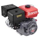 Motor Estacionário A Gasolina B4T15.0L 15hp 420cc Branco