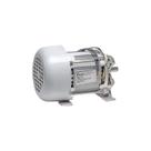 Motor Estator Montado Deslizante Max 3/4 - 220v - Peccinin 220v