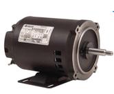 Motor h56 1/4cv 127/220 completa - Live