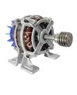 Motor Máquina Frango Frangueira + Polia Rosca Sem Fim 127v