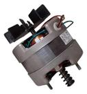 Motor Para Churrasqueira Giratória Grill 1/30 Max Torque.