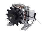 Motor Tanquinho Libell Lave Mais Fioreta 3kg - 127v