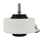 Motor Ventilador RPG15A Evaporadora 12.000 Btus Elgin