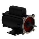 Motor WEG Para Bomba de Piscina 1/2cv 0,5cv 127/220V Monofásico 2 Polos Jet Pump