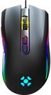 Mouse blackHawk
