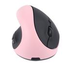 Mouse Ergonômico Sem Fio Justdfine Vertical 3 DPI 6 Botões Mouse Ergonômico Sem Fio Justdfine Vertical 3 DPI 6 Botões