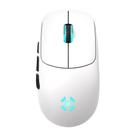 Mouse Gamer Fortrek Rogue Wireless USB Preto 7117