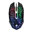 Mouse Gamer Rayden EG-104 2400 DPI 6 Botões LED Rainbow - Evolut