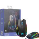 Mouse Gamer RGB Fortrek Cruiser Preto Sensor Óptico Alta Precisão Ajustável Até 10000 DPI Mouse Gamer RGB Fortrek Cruiser Preto Sensor Óptico Alta Precisão Ajustável Até 10000 DPI