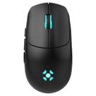Mouse Gamer Sem Fio Fortrek Rogue - 2.4GHz - 16.000dpi - Sensor PixArt 3311 - Iluminação RGB - 85030
