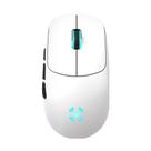Mouse Gamer Sem Fio Fortrek Rogue Bluetooth 2.4G 16000DPI Br