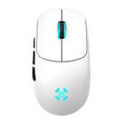 Mouse Gamer Sem Fio Fortrek Rogue RGB 16000DPI 6 Botoes Bluetooth Branco