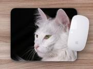 Mouse Pad Coleção Gatos Angorá, o brincalão