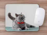 Mouse Pad Coleção Gatos British Shortair, o queridinho das estrelas