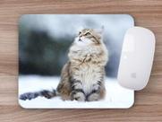 Mouse Pad Coleção Gatos Siberiano, o majestoso Mouse Pad Coleção Gatos Siberiano, o majestoso