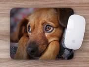 Mouse Pad Emborrachado Personalizado Dog Pet Cachorro Cão Mouse Pad Emborrachado Personalizado Dog Pet Cachorro Cão