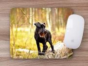 Mouse Pad Emborrachado Personalizado Dog Pet Cachorro Cão Mouse Pad Emborrachado Personalizado Dog Pet Cachorro Cão