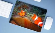 Mouse Pad Emborrachado Personalizado Praia Mar Oceano Peixe, 40 x 30 Mouse Pad Emborrachado Personalizado Praia Mar Oceano Peixe, 40 x 30