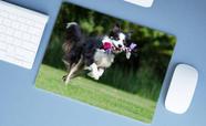 Mouse Pad Grande, Border Collie