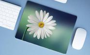 Mouse Pad Grande, Margarida