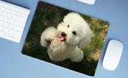 Mouse Pad Grande, Poodle