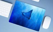 Mouse Pad Grande, Raia Chita