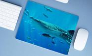 Mouse Pad Grande, Tubarão Baleia