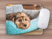Mouse Pad, Shih Tzu Mouse Pad, Shih Tzu