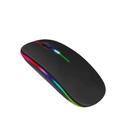 Mouse Rgb Led Anatômico Sem Fio Bateria Recarregável 2.4g