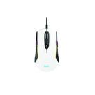 Ms316 mouse arctic Ms316 mouse arctic