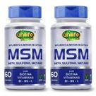Msm metilsulfonilmetano vitaminas biotina b1 b5 vitamina c 60 caps unilife kit 2 unid Msm metilsulfonilmetano vitaminas biotina b1 b5 vitamina c 60 caps unilife kit 2 unid