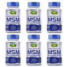 Msm metilsulfonilmetano vitaminas biotina b1 b5 vitamina c 60 caps unilife kit 6 unid