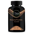 Mucuna Pruriens 120 Capsulas 500mg Ethos Nutrition Mucuna Pruriens 120 Capsulas 500mg Ethos Nutrition