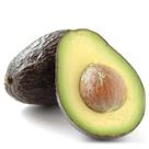 Muda de Abacate Avocado 20 a 40 cm AMK - Plantas Online