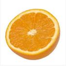 Muda Laranja Salustiana Enxerto