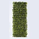 Muro Inglês Jardim-Pack 1pç / 2m² Jardim