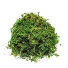 Musgo Artificial Verde Para Arranjos E Jardins 100G