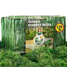 Musgo decorativo para artesanato Duspro Green Forest Moss 560g